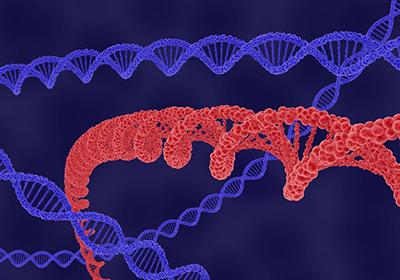 重組蛋白純化后為什么會(huì)出現(xiàn)沉淀的情況?該如何解決?