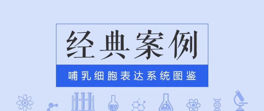 經(jīng)典案例|普健哺乳動物細胞表達系統(tǒng)之scfv表達