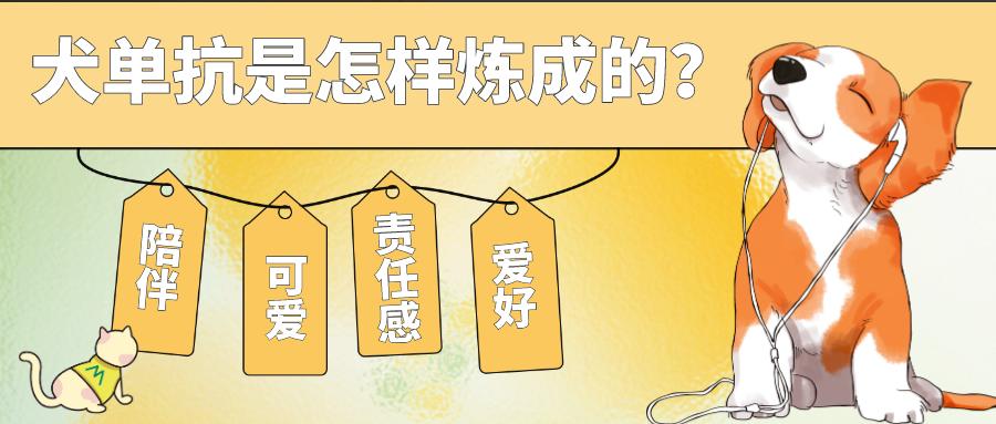 首款犬的單克隆抗體獲批！犬單抗是怎樣煉成的？