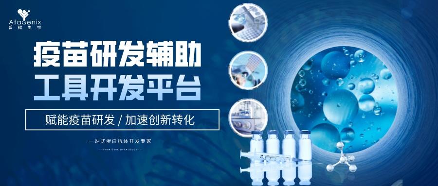疫苗研發(fā)輔助工具開發(fā)平臺(tái)助您撬開千億藍(lán)海